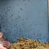American Pest Control gallery
