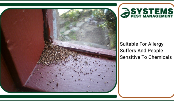Systems Pest Management Pty Ltd - Thornleigh, NSW. Suitable For Allergy Suffers And People Sensitive To Chemicals