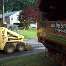 Ideal Tree Service - Tree Service