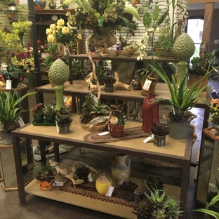 Port Charlotte Florist - Port Charlotte, FL