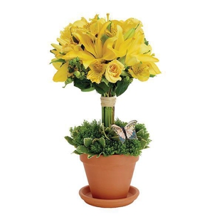 Metropolitan Wholesale / Cityside Flowers - Saddle Brook, NJ