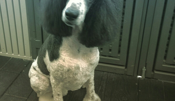 Pretty Paws Pet Salon - Corpus Christi, TX. Did you say COOKIE? ?