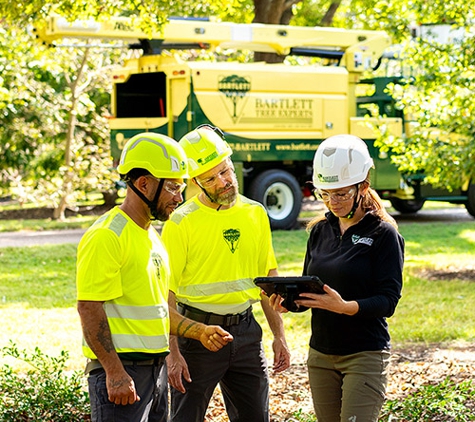 Bartlett Tree Experts - Greer, SC