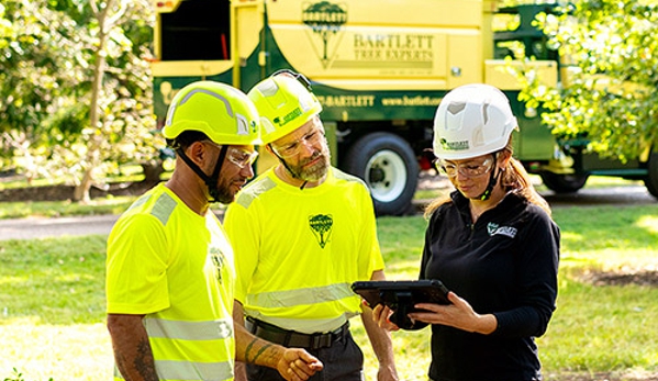 Bartlett Tree Experts - Chesapeake, VA