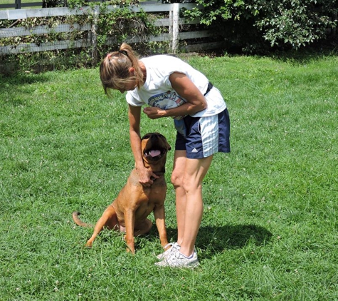 Positive Foundation Dog Training - Mc Donald, PA