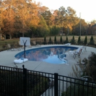 Blue Dolphin Pools Of Decatur