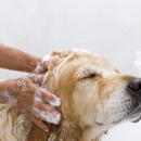 Pet Grooming - Pet Services