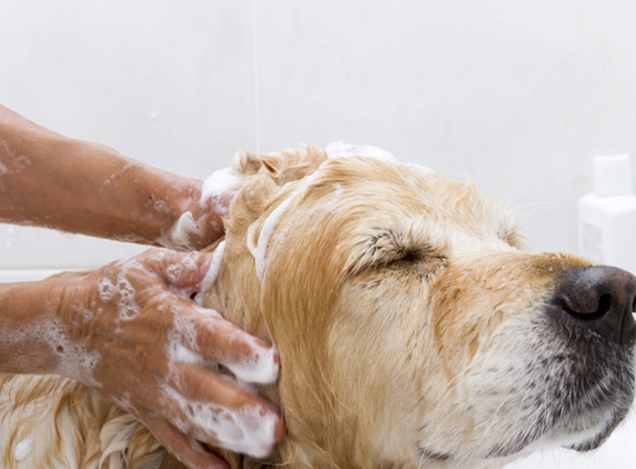 Pet Grooming - Millbury, MA