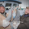 Flash Sport Fishing Charters gallery