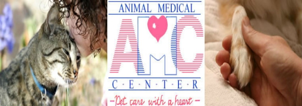 animal medical Center