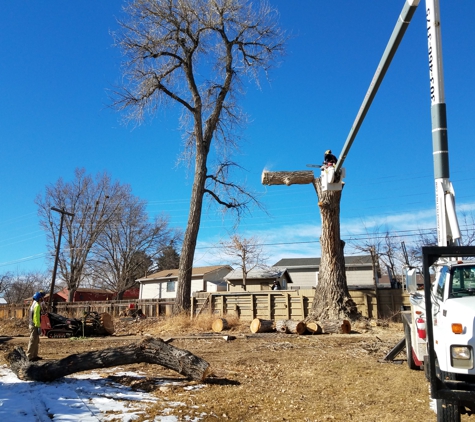 Arbortec Tree Service - Broomfield, CO. Tree Removal- Adams County parks