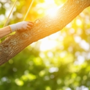 JT Tree Service - Tree Service