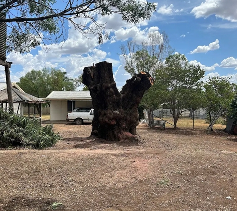 Central west trees