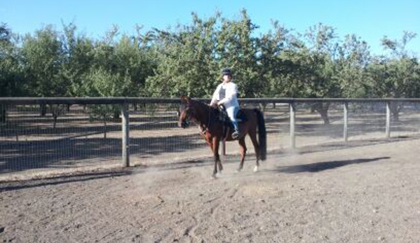 Discover Essential Horsemanship - Moorpark, CA