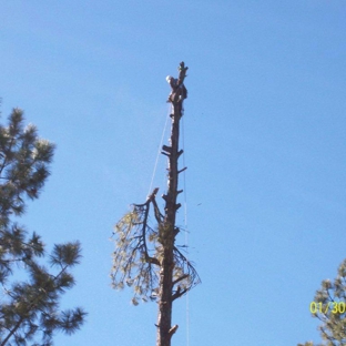 B&G Tree Trimming - Albuquerque, NM