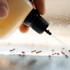 Pest Specialist gallery