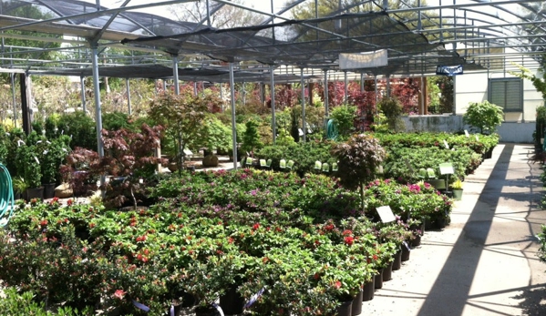 Family Tree Nursery - Shawnee, KS