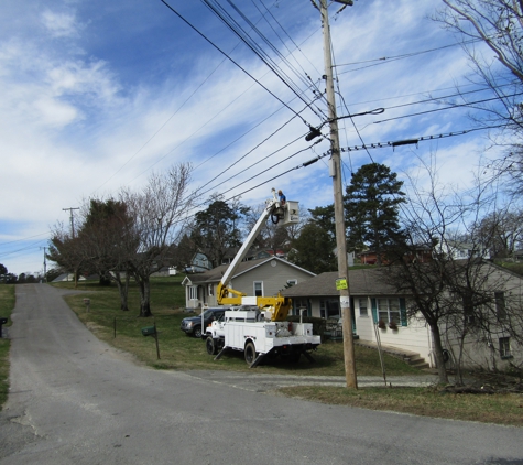 Pro Tree Service - Chattanooga, TN