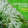 ExperiGreen & Organic Turf gallery