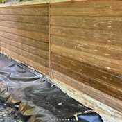 Gallery Image Number 7