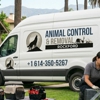 Animal Control & Removal Rockford gallery