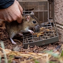 Palladin Pest Control - Pest Control Equipment & Supplies
