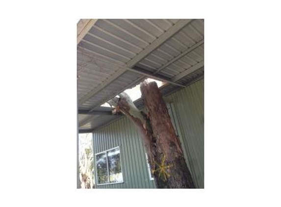 Bill's Tree Service Pty Ltd