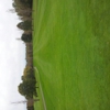 Manada Golf Course gallery