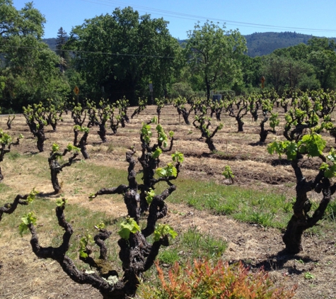 Wellington Cellars - Glen Ellen, CA