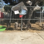 Downey Animal Care Center