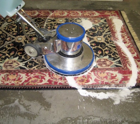 Five Step Carpet Care