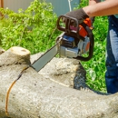 Ultimate Tree Service - Tree Service