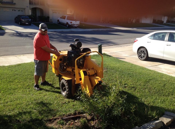 Gutierrez Tree Service & Landscaping - Murrieta, CA