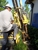 Certified Foundations Inc. - Building Specialties