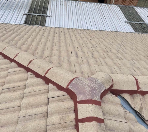 Kiwi Roof Restoration - Smithfield, NSW
