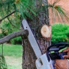Tony's Tree Trimming gallery