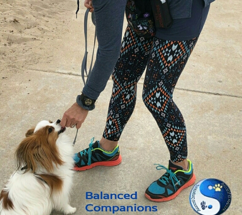 Balanced Companions - Ventura, CA