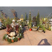 Gallery Image Number 2