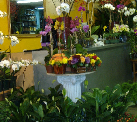 Citywide Flower Plants - New York, NY. florist upper east side nyc