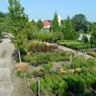 Water Crest Farms Nursery