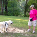Classy Canine Training Academy - Pet Training