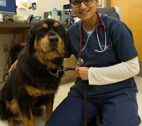 Inman Animal Hospital - Atlanta, GA