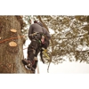 Elite Tree Care gallery