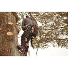 Elite Tree Care