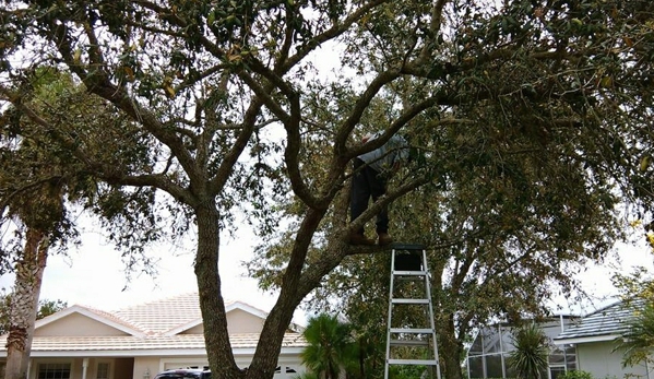 MIKE LENARTS TREE SERVICE INC