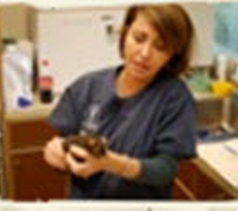 Sunnyside Veterinary Hospital Pc/Aaha - Happy Valley, OR