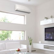 Gallery Image Number 3