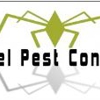 Xcel Pest Control gallery