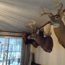 Sportsman Taxidermist - Taxidermists