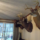 Sportsman Taxidermist